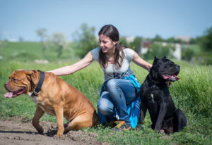 夢占いで犬を飼う夢 吉凶の分かれ道は 色 大きさ 数で意味を解説 シャンティーの開運鑑定